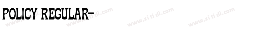 Policy Regular字体转换 Policy Regular字体转换